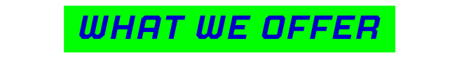 What we offer